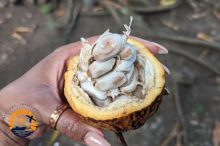 Aventura Cultural y Natural en Higüey miniatura 21