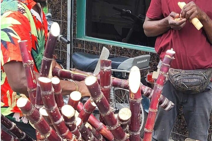 Aventura Cultural y Natural en Higüey miniatura 24